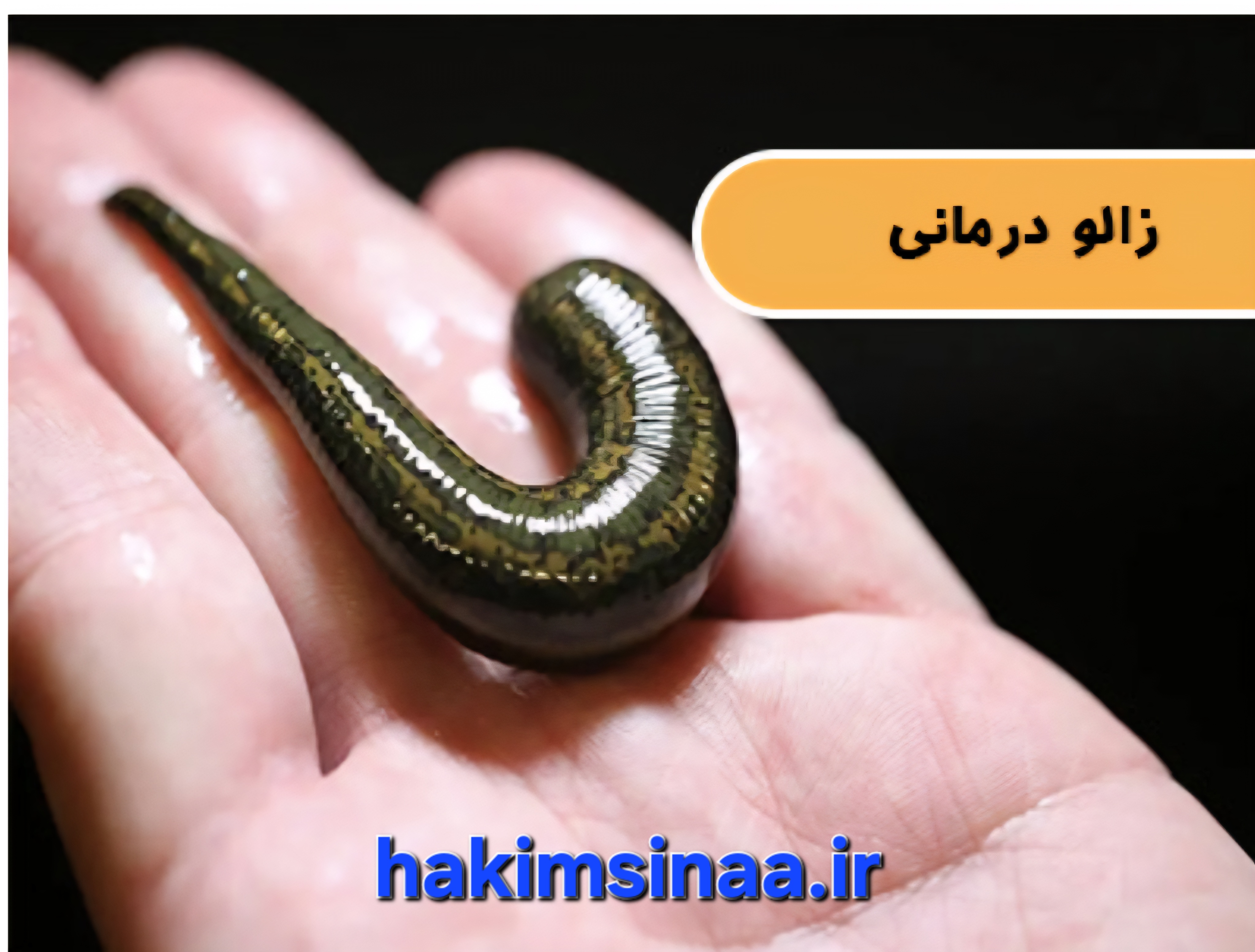 پخش عمده و به تعداد هم عرضه می‌شود