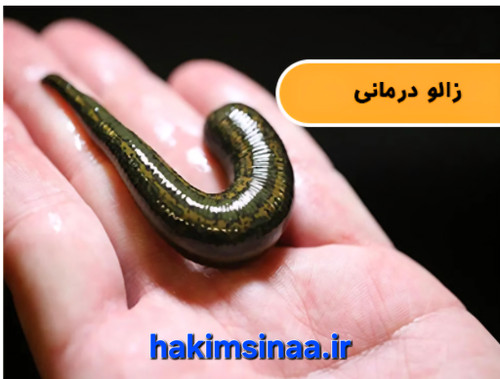 پخش عمده و به تعداد هم عرضه میشود