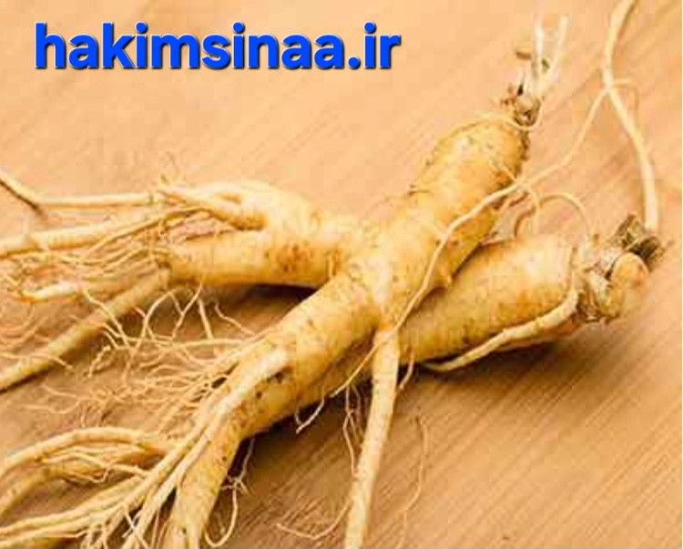جین سینگ زرد چین