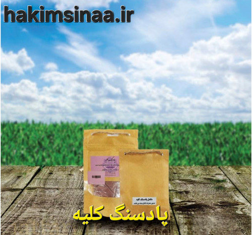 پیشنهادهای شگفتانگیز